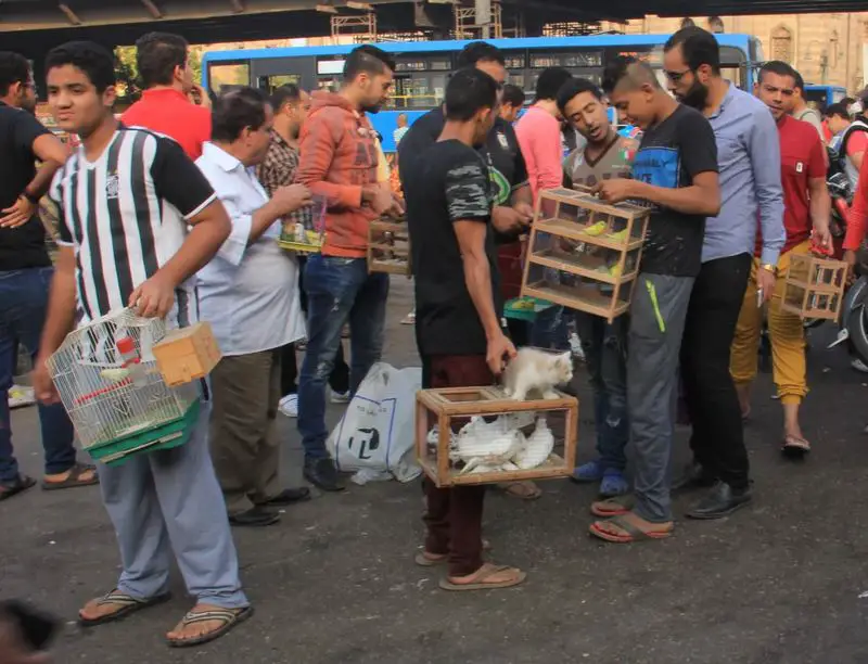 معلومات عن سوق الجمعة في مصر