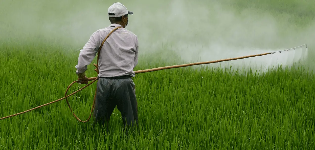 أنواع المبيدات الزراعية،فوائدها واضرارها