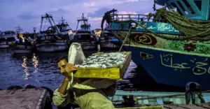 الثروة السمكية في مصر